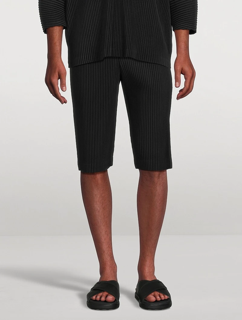 Tailored Pleats 2 Shorts