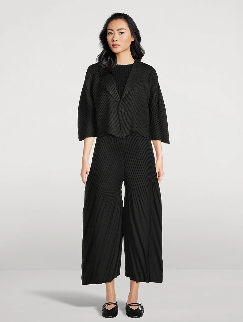 Linen Like Pleats Pants