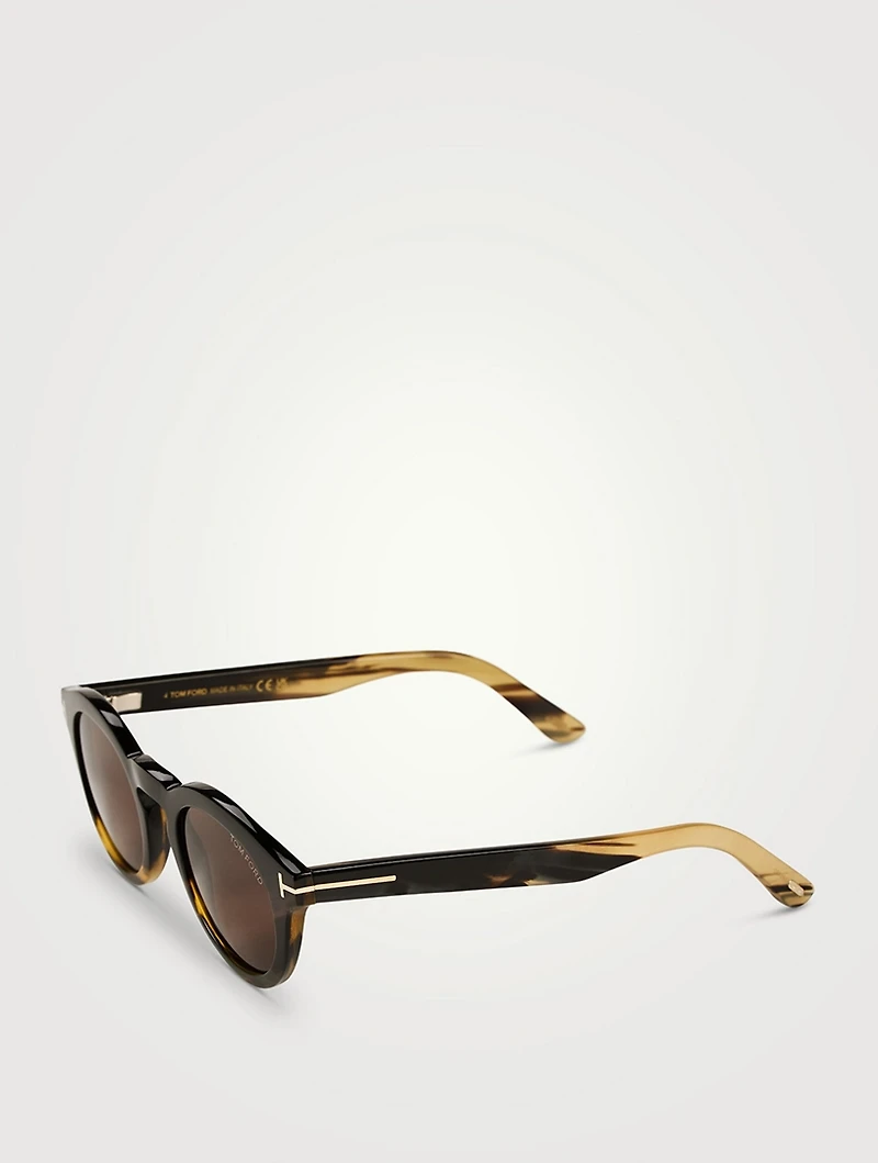 Round Horn Sunglasses