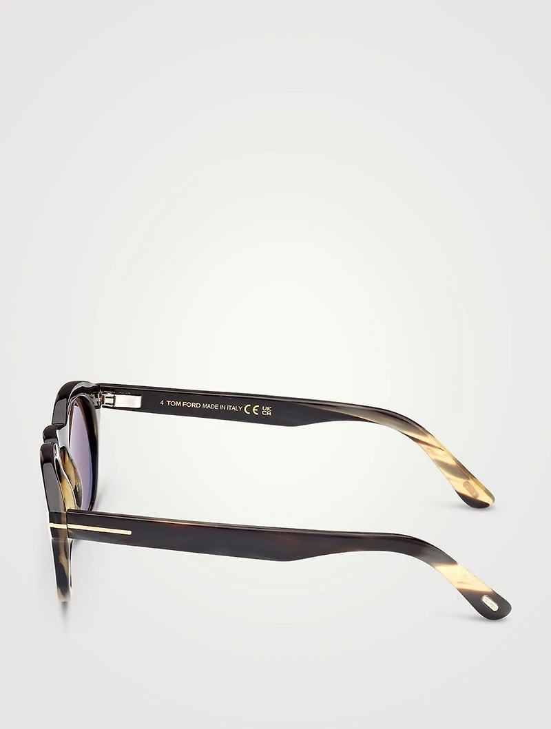 Round Horn Sunglasses