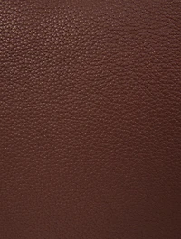 Small T Timeless Leather Shopping Bag