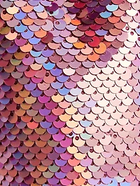 Bon Bon Sequin Clutch