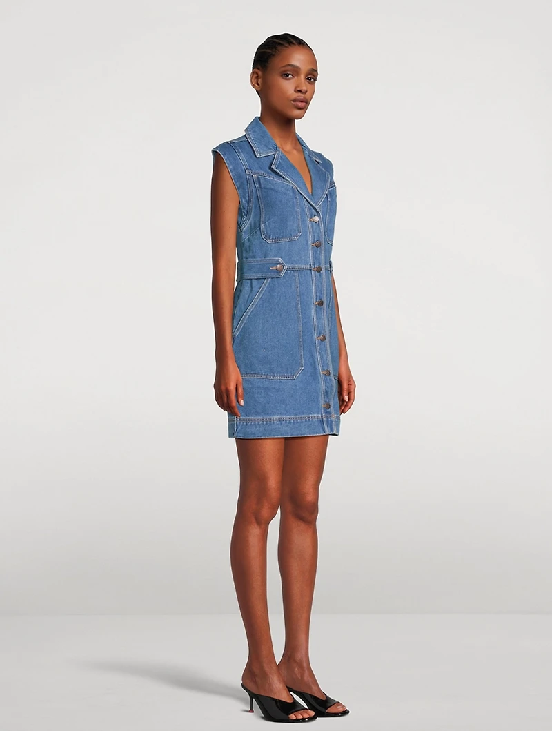 Jax Denim Dress