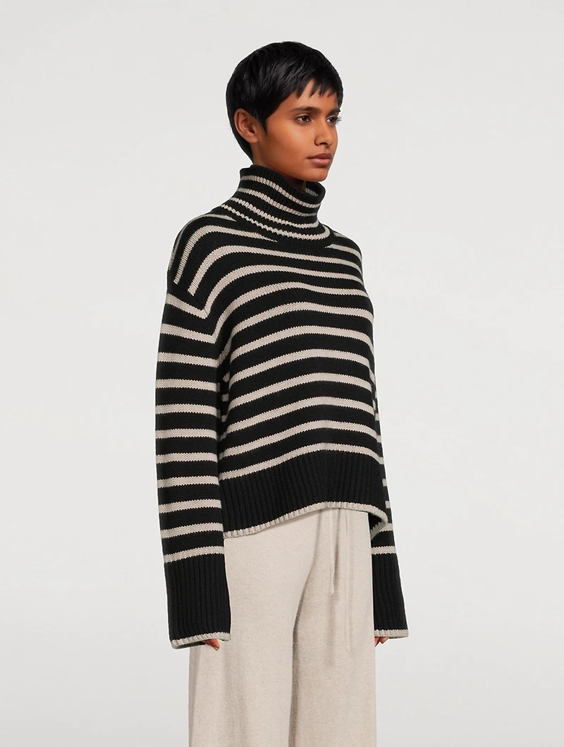 Fleur Cashmere Turtleneck Sweater Stripe