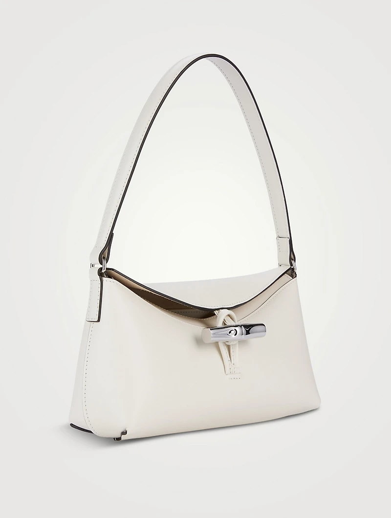 Small Le Roseau Leather Shoulder Bag