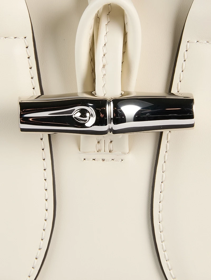 XS Le Roseau Leather Top Handle Bag