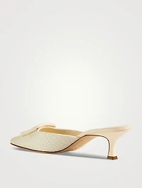 Maysalebi Croc-Embossed Leather Mules