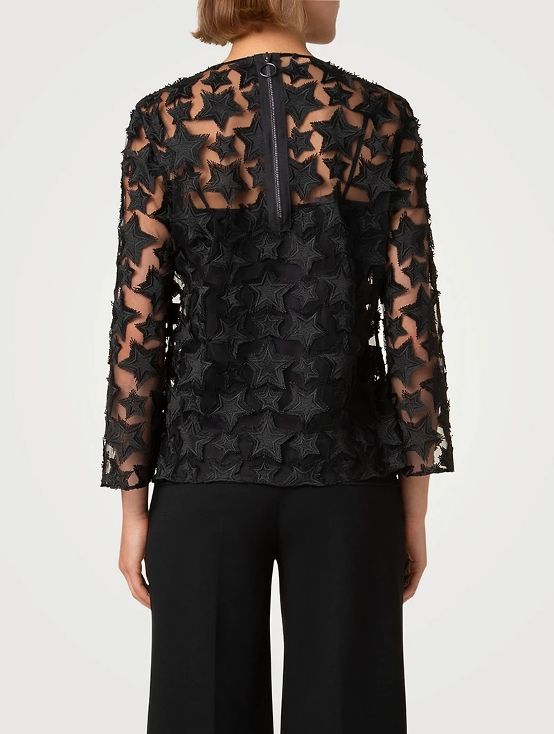 3D Star-Embroidered Tulle Blouse