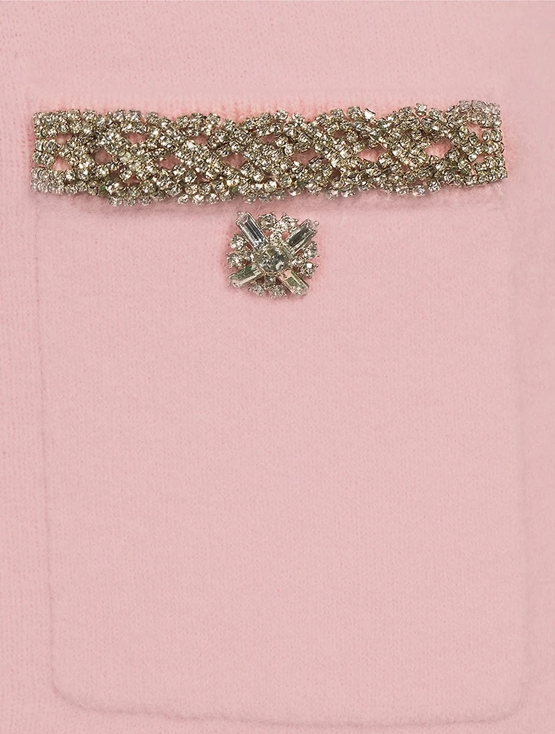 Embellished Knit Pencil Skirt