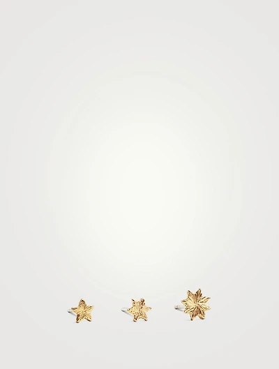 Polaris Stud Set