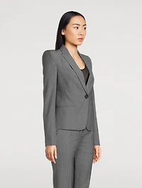 Wool Mohair One-Button Blazer