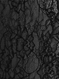 Lace Bodysuit
