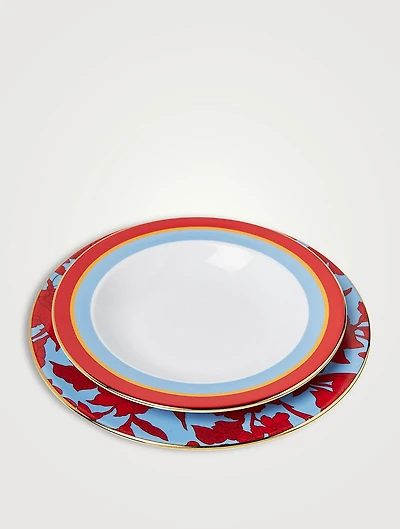 Two-Piece Soup And Dinner Plate Set