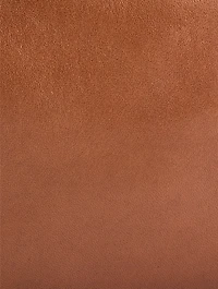 Ray Leather Bag