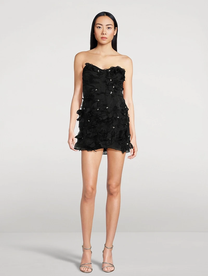Sabila Organza Mini Dress