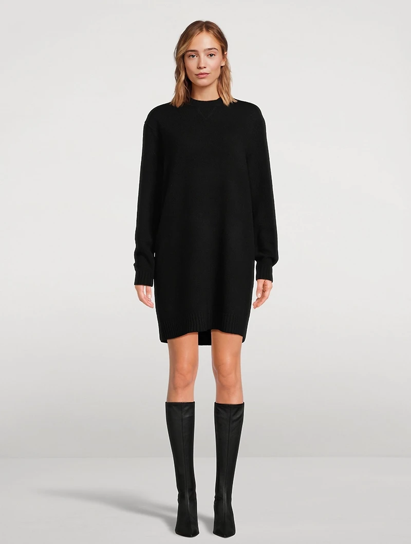 Felted Wool Cashmere Sweater Dress