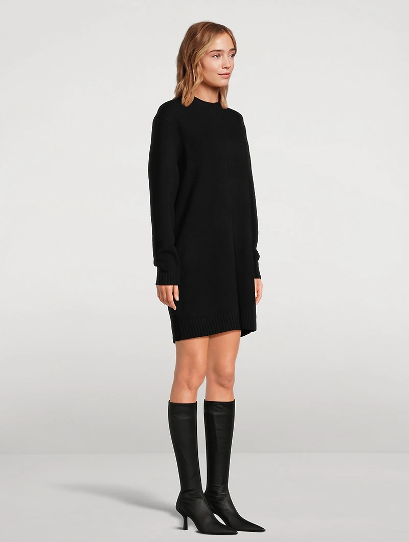 Felted Wool Cashmere Sweater Dress