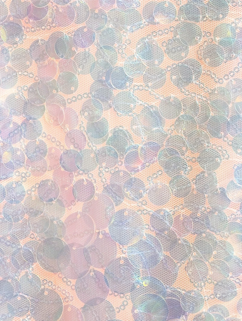 Risbo Sequin Mini Dress