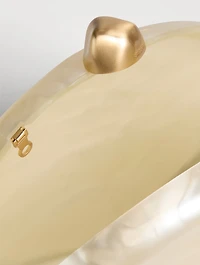 Eviana Acrylic Clutch