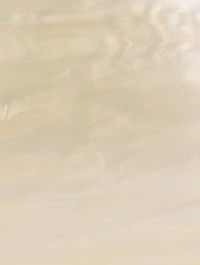 Eviana Acrylic Clutch