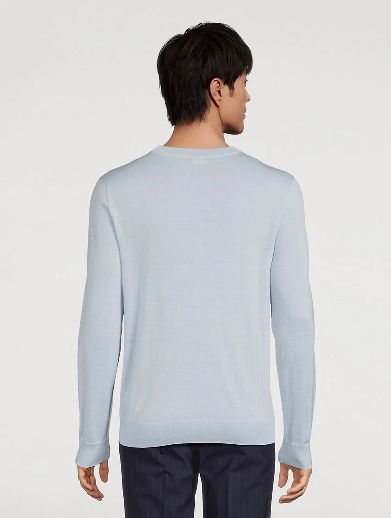 Wool Crewneck Sweater