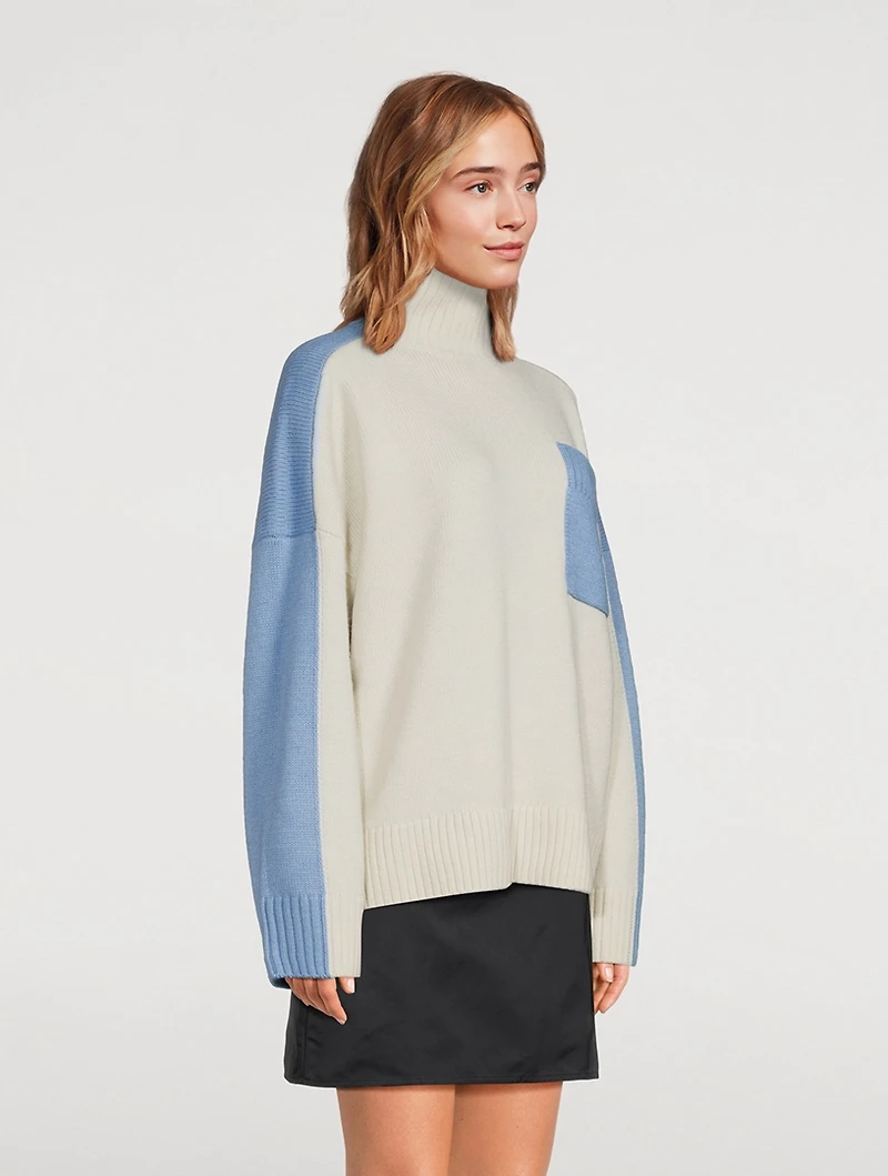 Colourblock Turtleneck Sweater