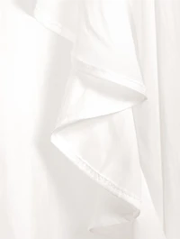 Ruffled Blouse