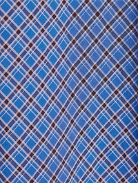 Sofia Voile Dress Check Print