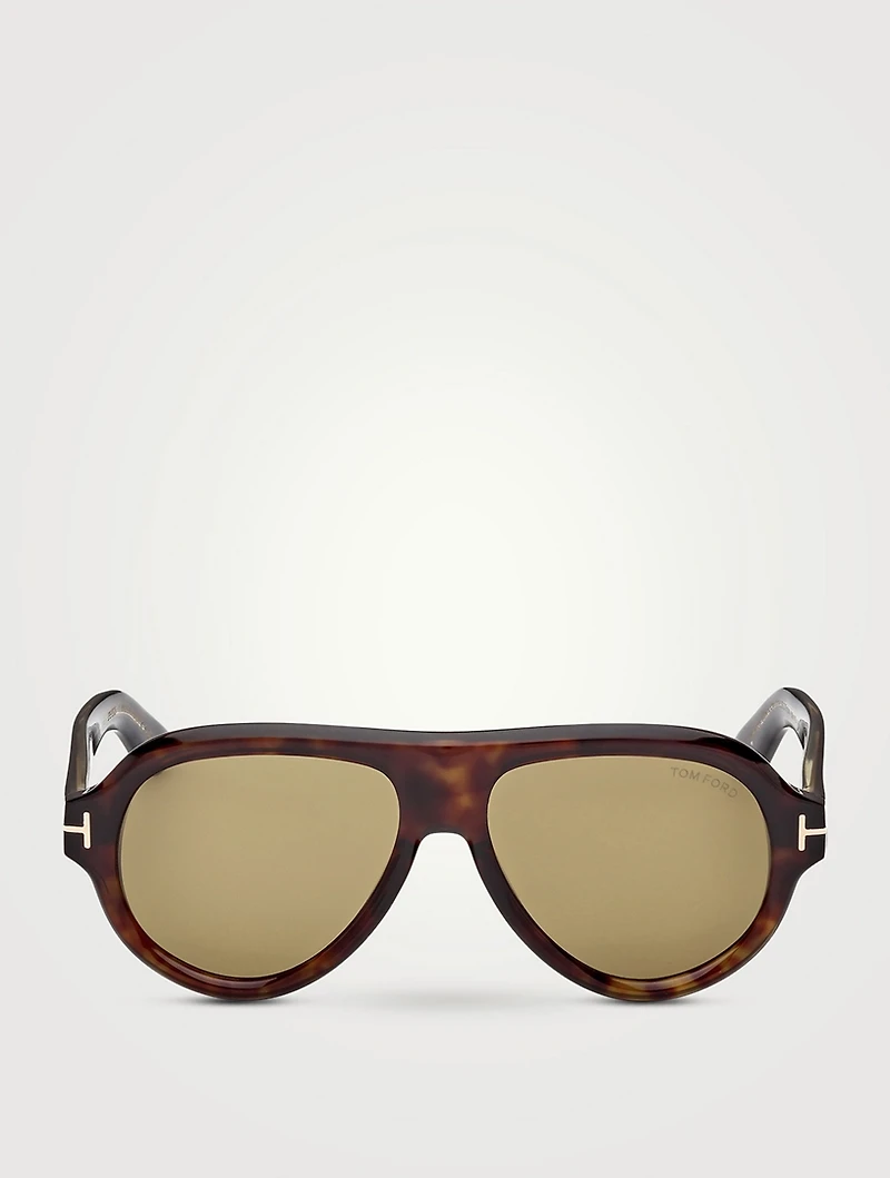 Tom Ford Icon Aviator Sunglasses