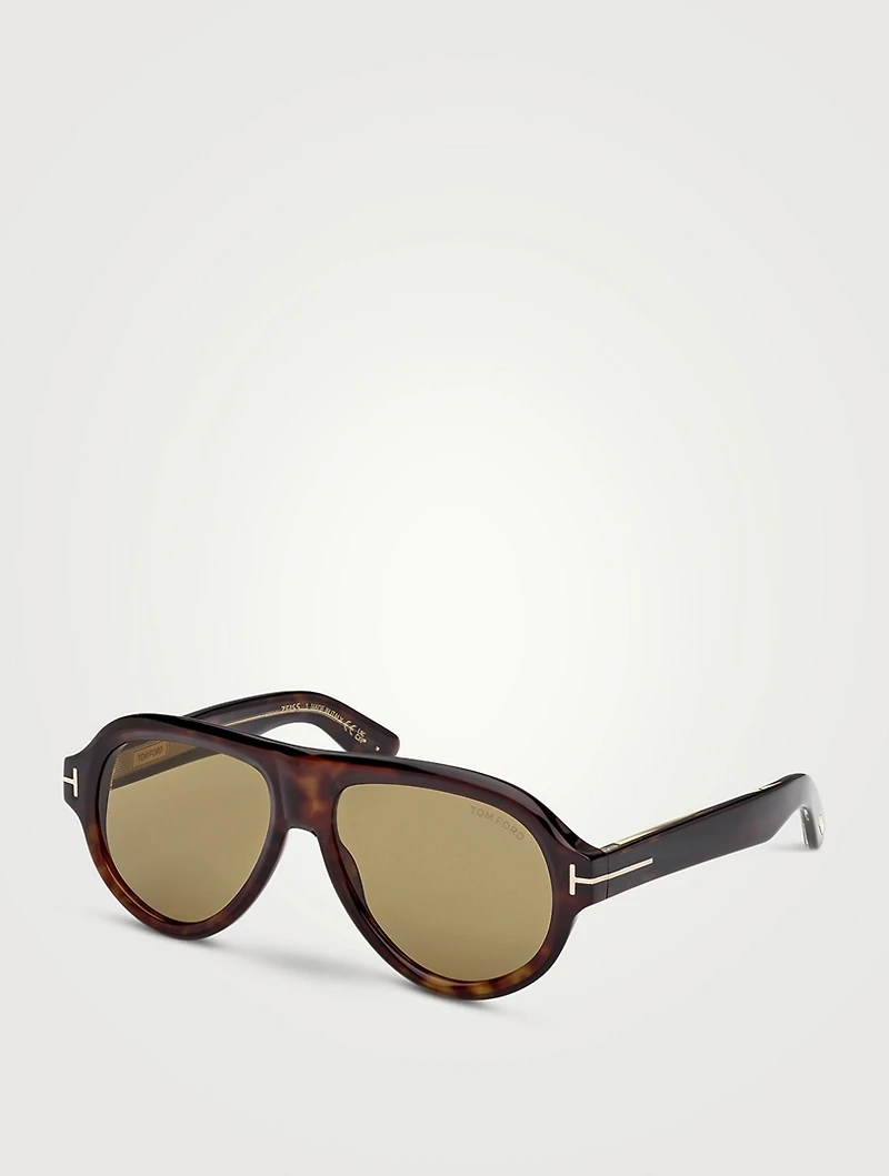 Tom Ford Icon Aviator Sunglasses