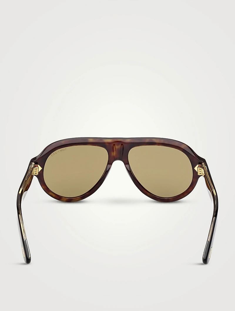 Tom Ford Icon Aviator Sunglasses