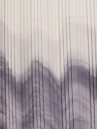 Printed Plissé Skirt