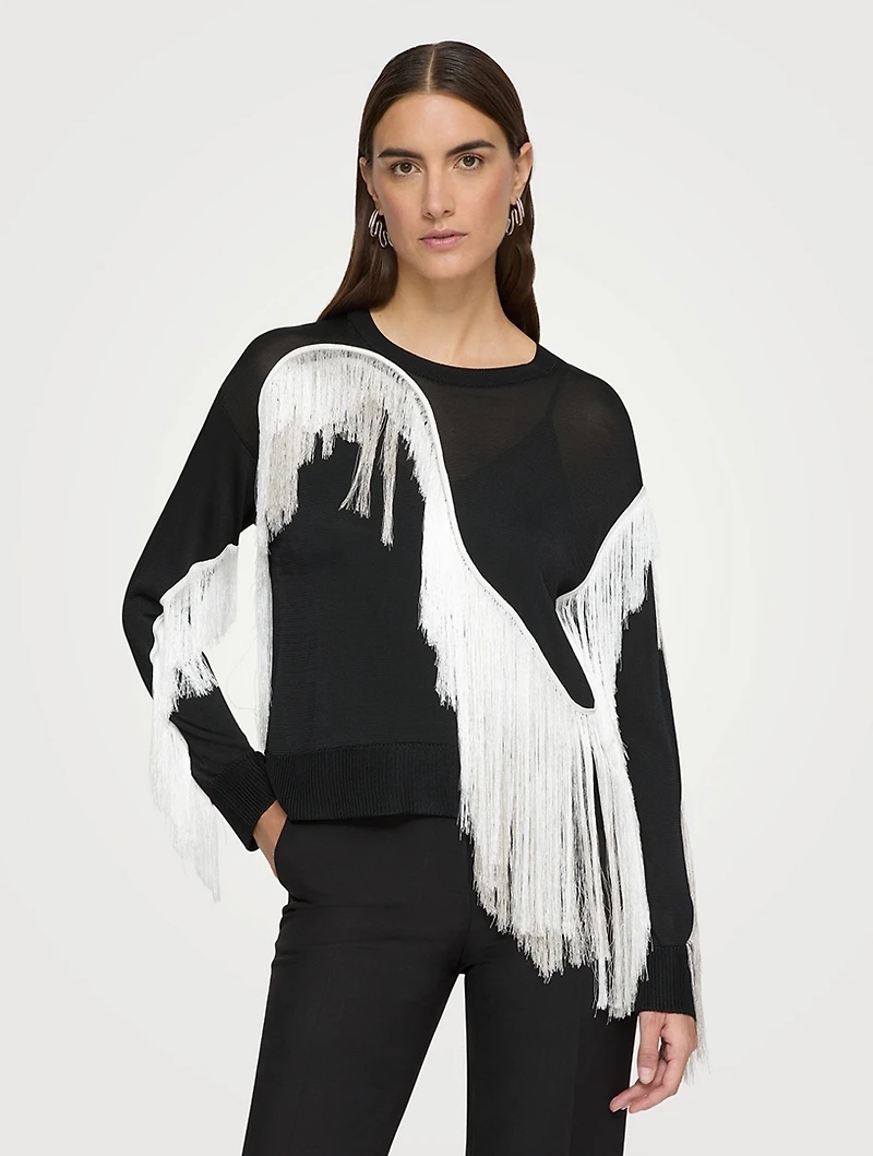 Metropolitan Shine Embroidered Fringe Sweater