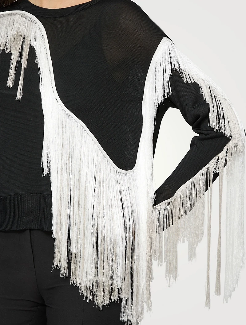 Metropolitan Shine Embroidered Fringe Sweater