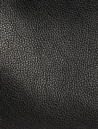 Small Ai Leather Backpack