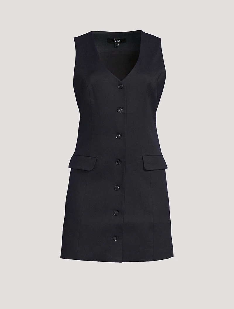 Wells Mini Dress