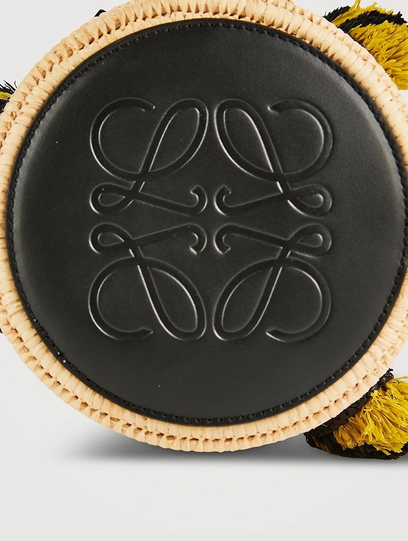 Loewe x Paula's Ibiza Beehive Raffia Crossbody Bag
