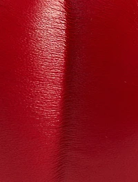 Loewe x Paula's Ibiza Tomato Leather Clutch