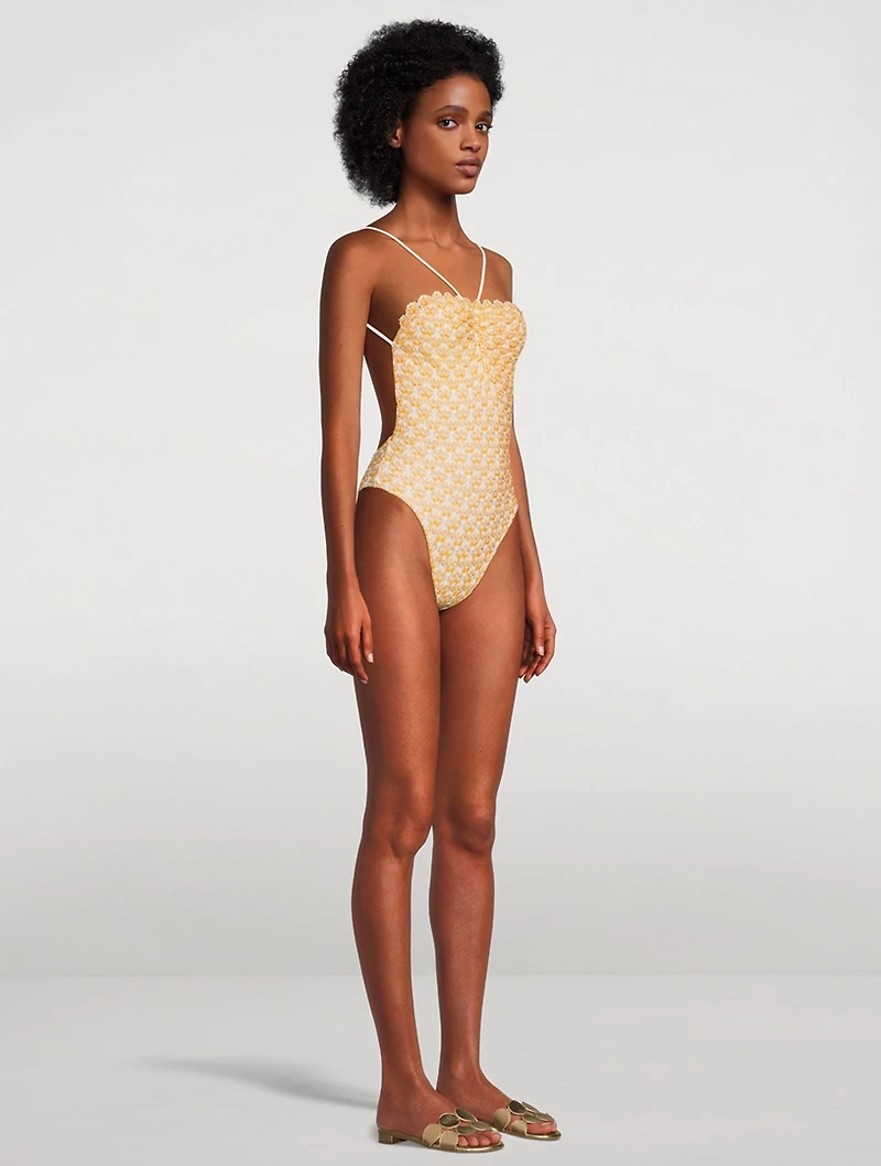 Lace Raschel One-Piece Swimsuit