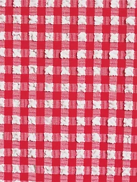 Seersucker Mini Dress Gingham Print