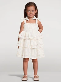 Rhiannon Striped Denim Dress