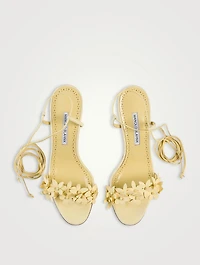 Anista Floral-Appliqué Leather Ankle-Tie Sandals