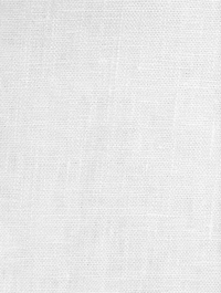 Veranda Linen Mini Skirt