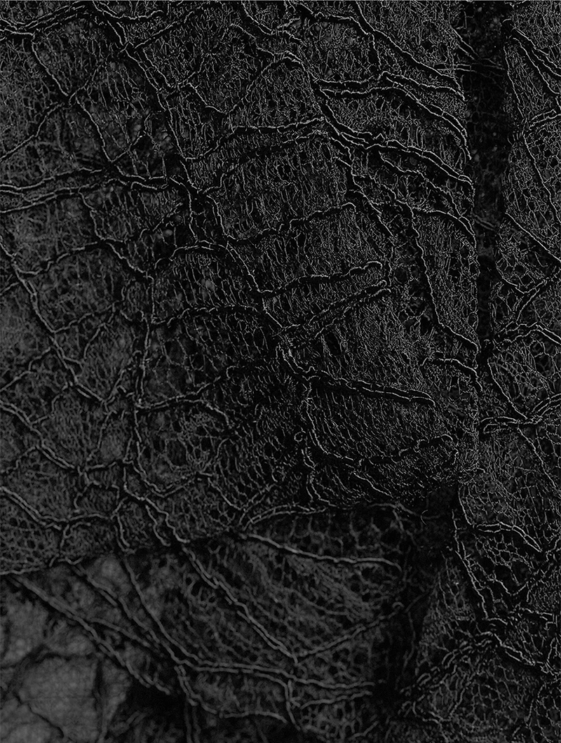 Banshee Lace Gown