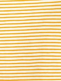 The Slub T-Shirt Stripe Print