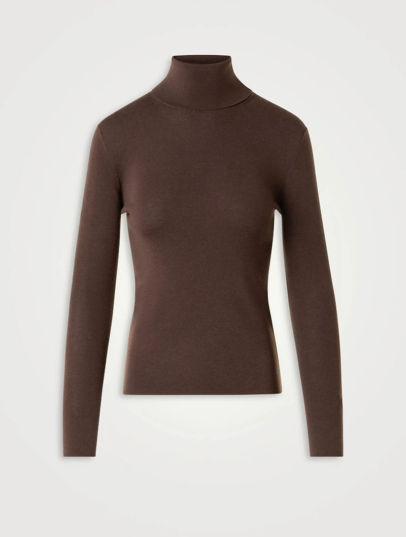 Wool Turtleneck