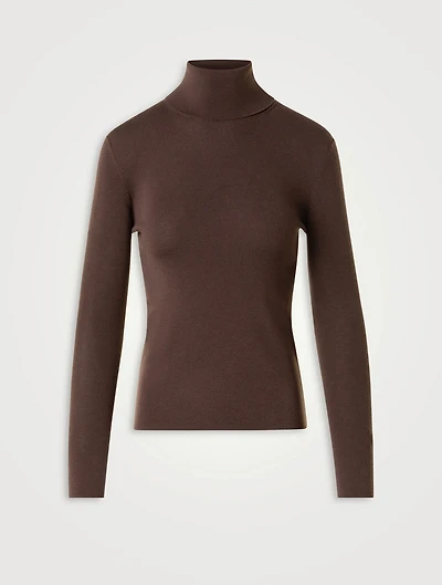 Wool Turtleneck