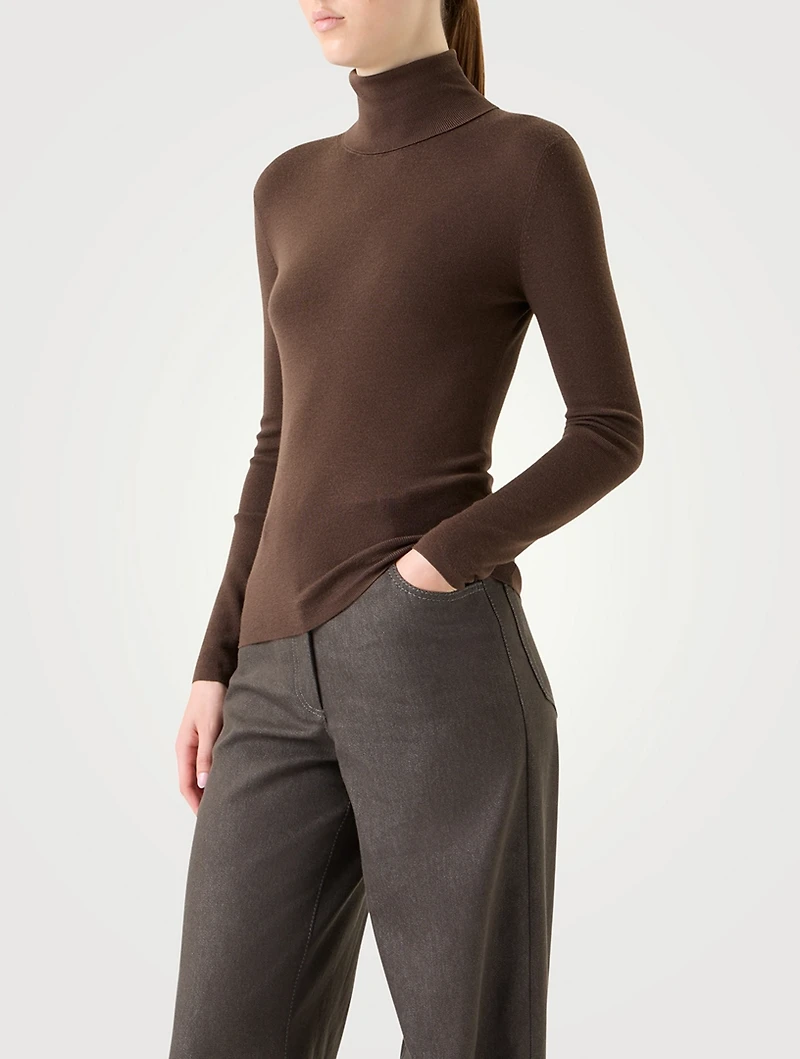 Wool Turtleneck