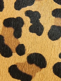 Le Cœur Calf Hair Crossbody Bag In Leopard Print