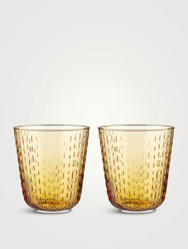 Set Of Two Syksy Tumblers